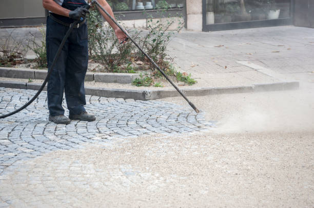 Best Animal Enclosure Cleaning  in Westway, TX